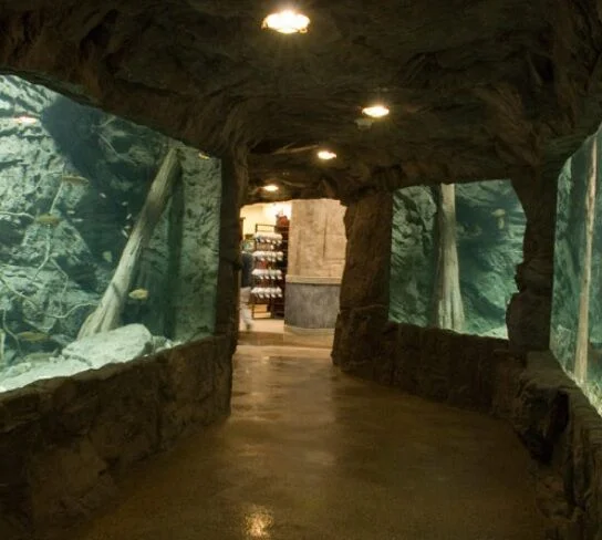 aquarium1.jpg