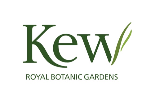 Kew.jpg