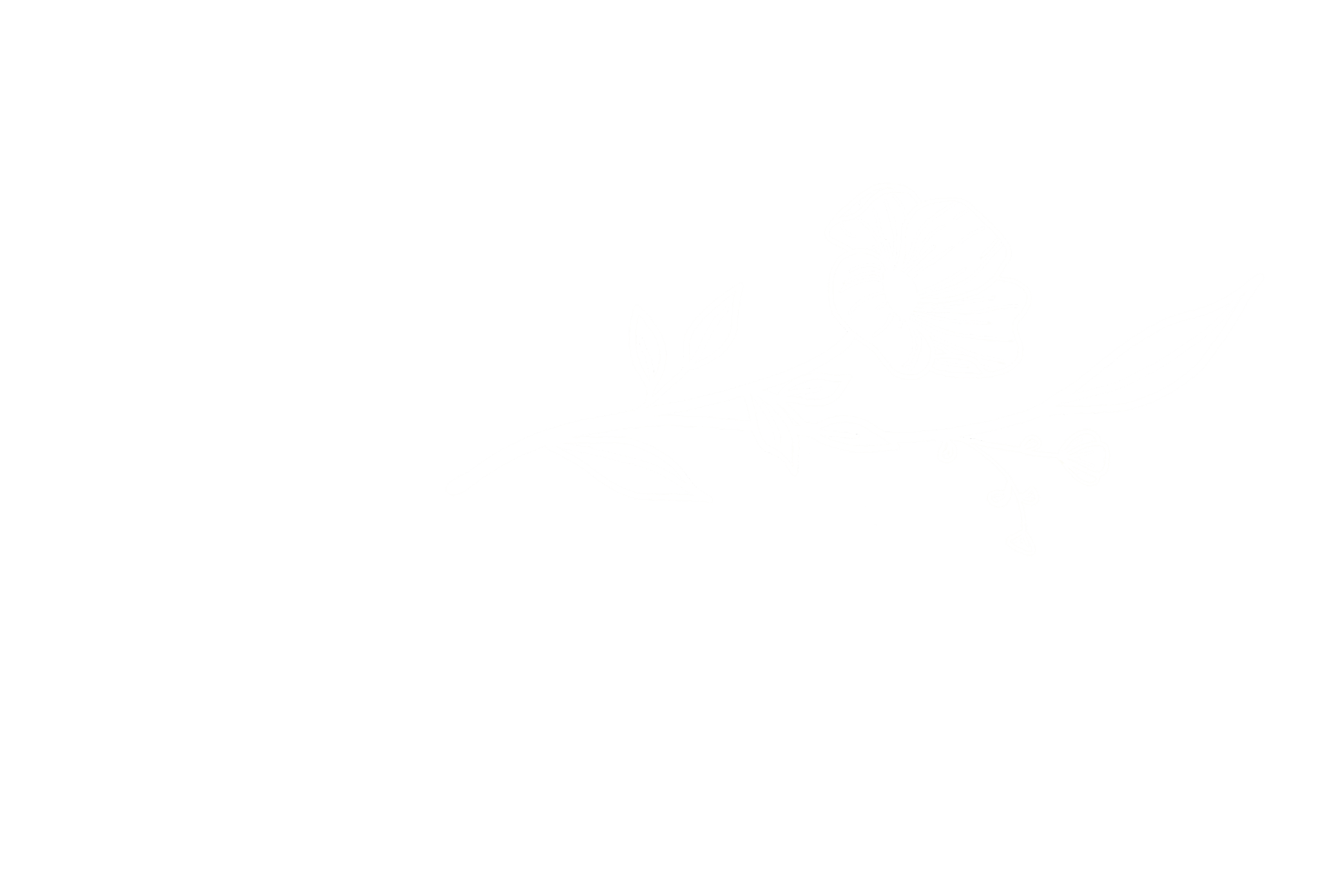 Bespoken Creative