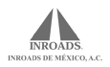 INTROADS (1).png