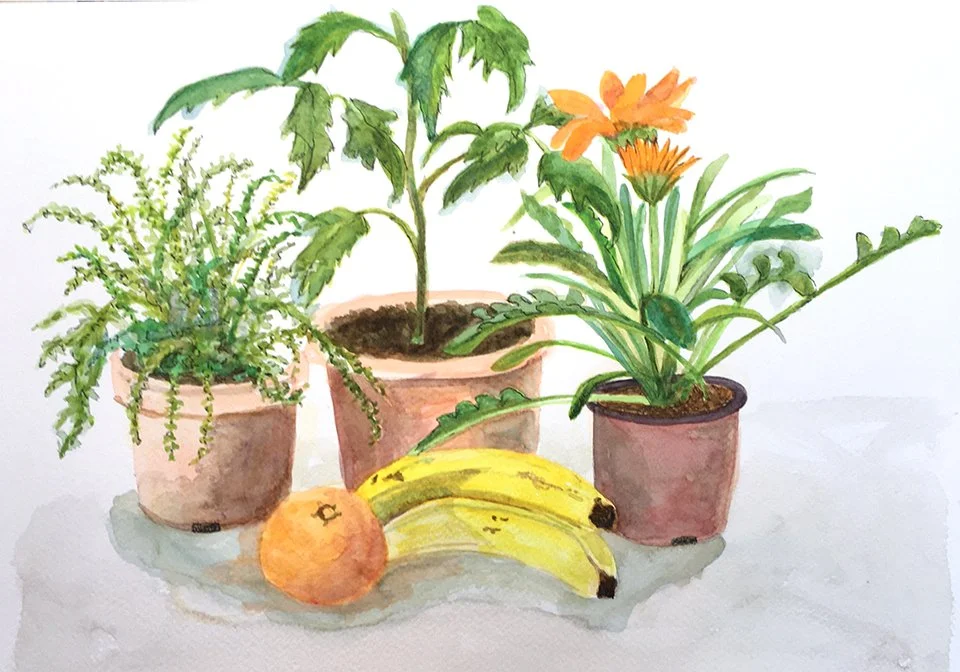 4 wc fruit&plants.jpg