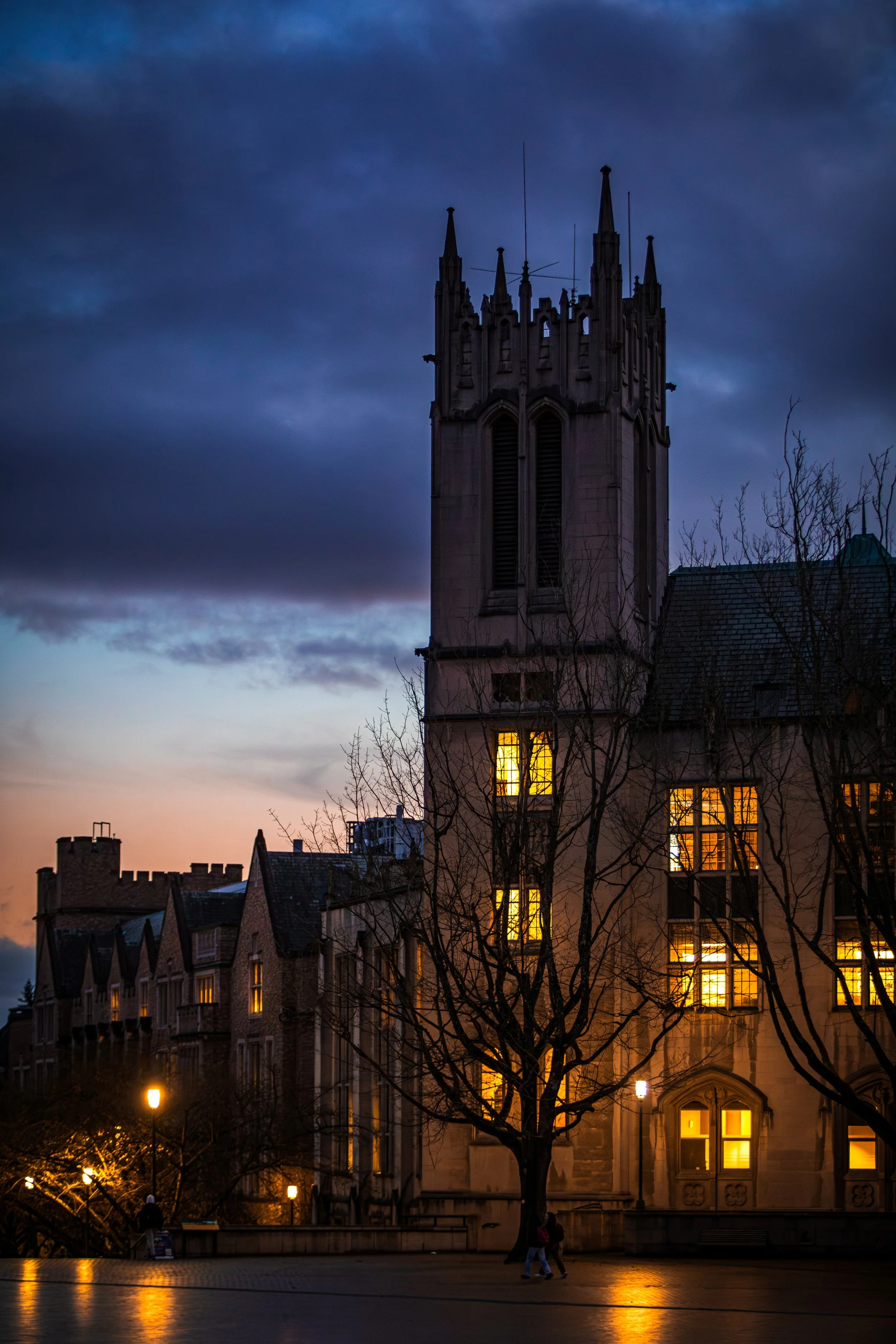 UW's Gerberding Hall at sunset, barren trees in the foreground