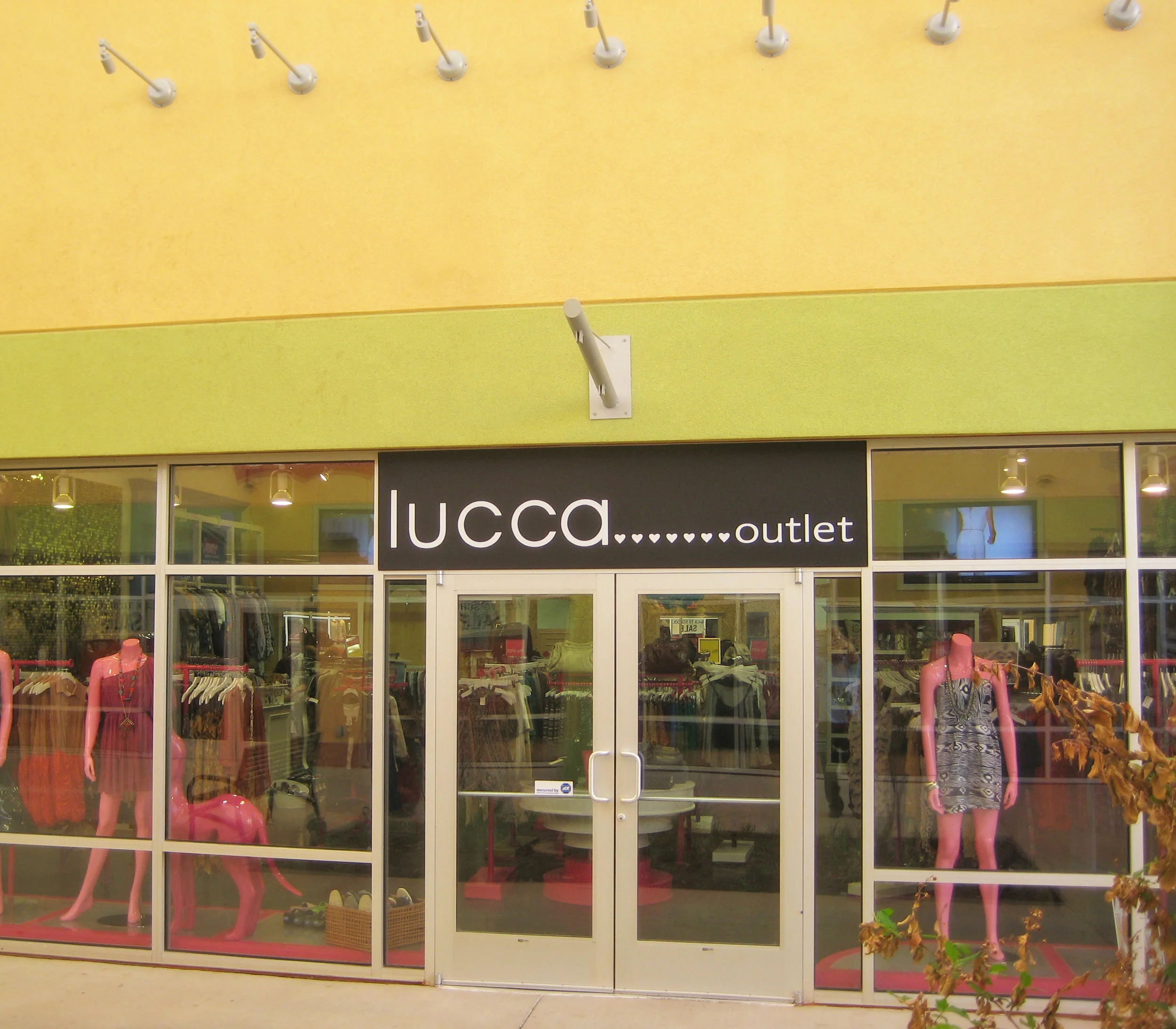 LUCCA_1.jpg