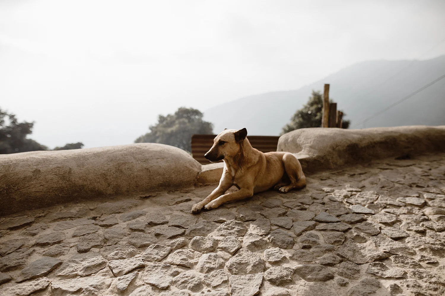 GUATE-12.jpg