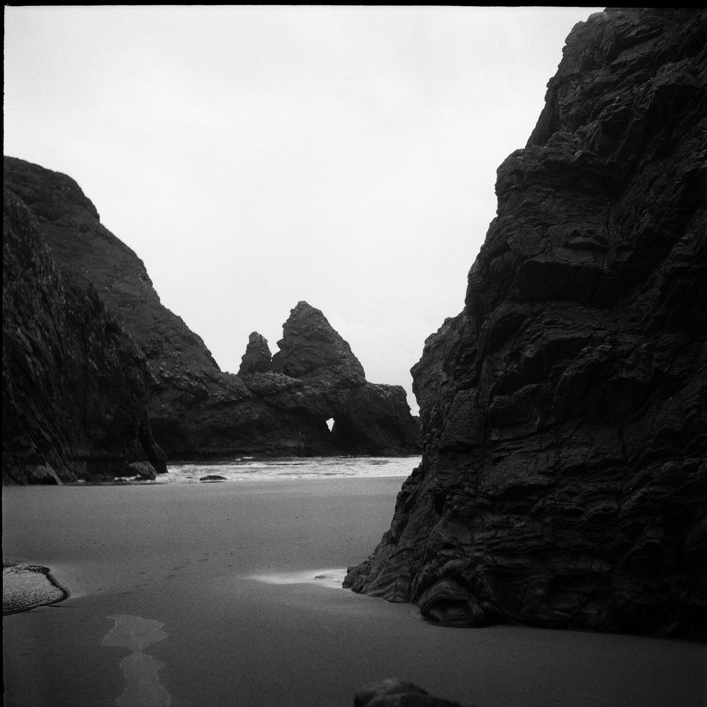 Medium format // Ilford Delta 400
-
-
Comme chaque ann&eacute;e, je prends un instant pour souligner le jour de la Terre. C'est dans la nature que je retrouve ma spiritualit&eacute;, dans toute sa force et sa vuln&eacute;rabilit&eacute;. Cette plan&e