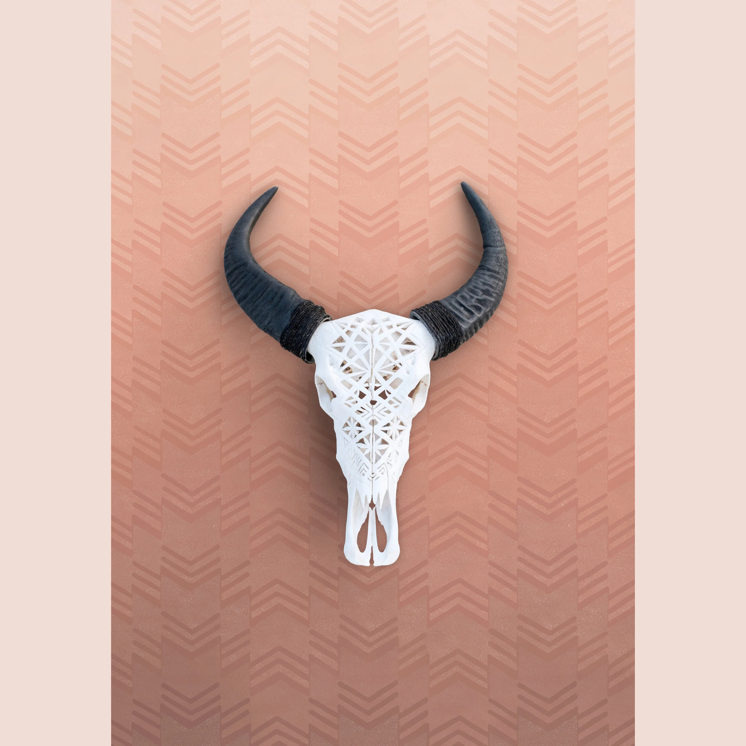 roman-raizen-705237-unsplash_4_WEB.jpg