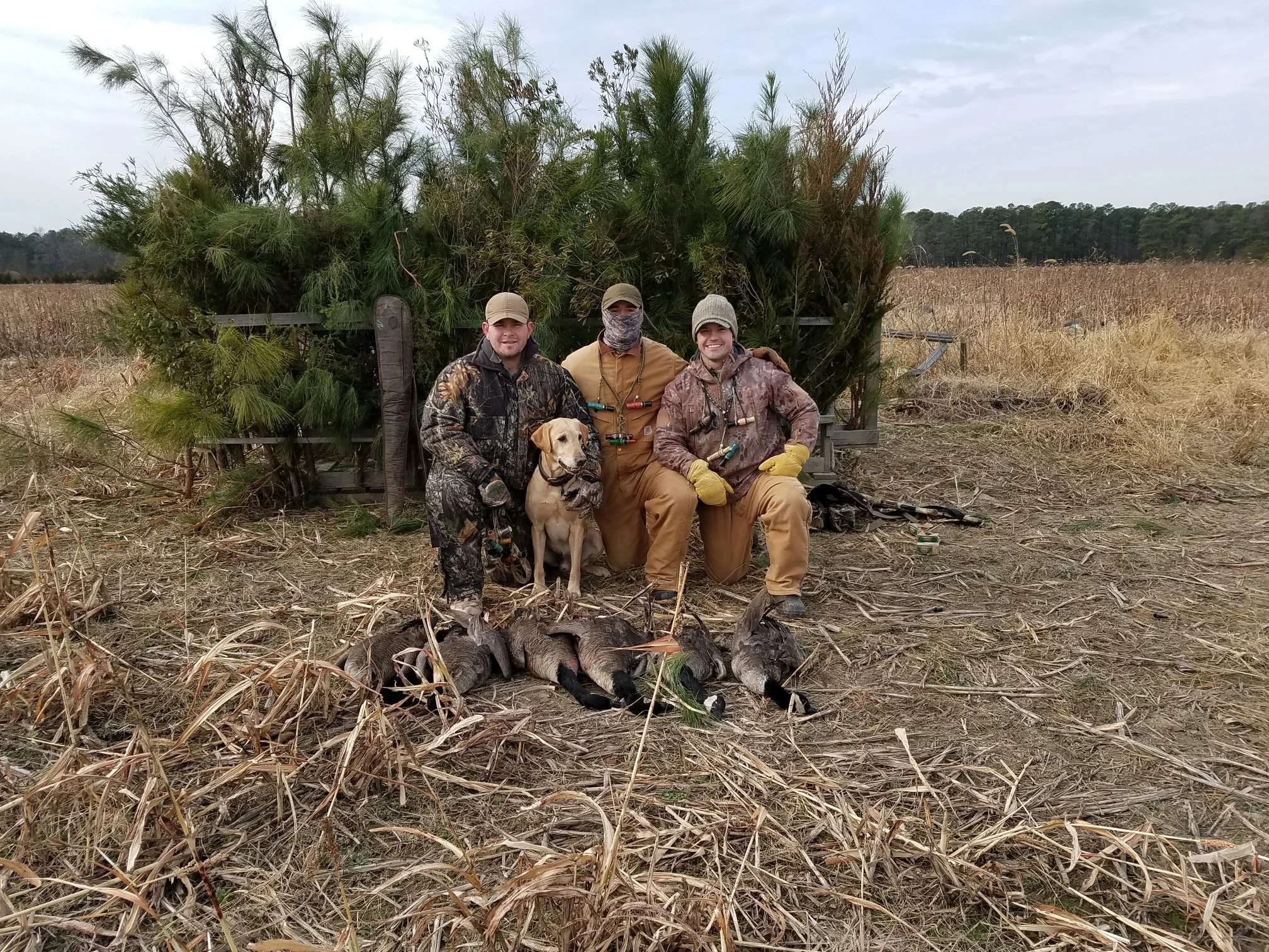 family Resized_20171227_105724.jpeg