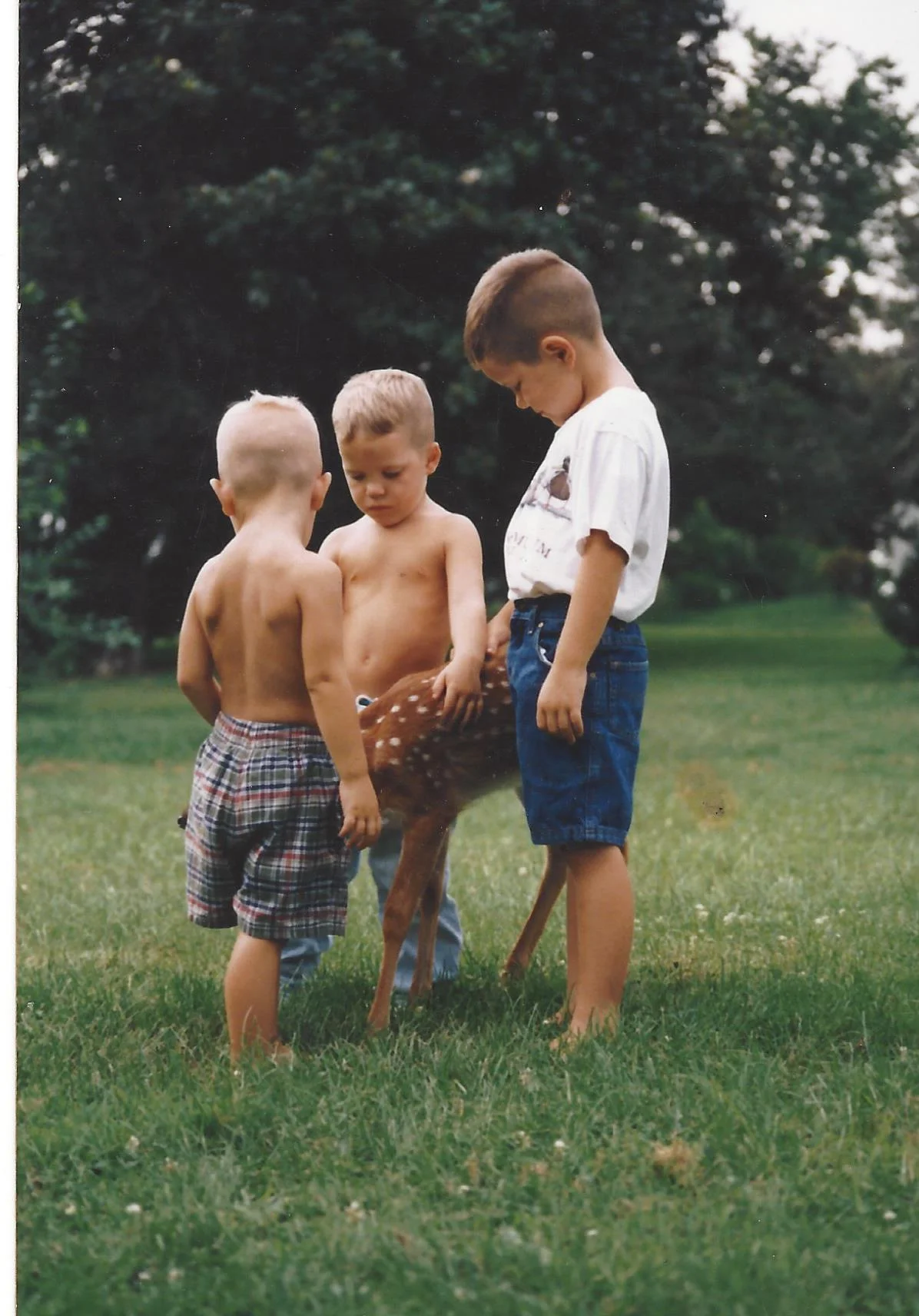 deer12kidFamily2Scan.jpg