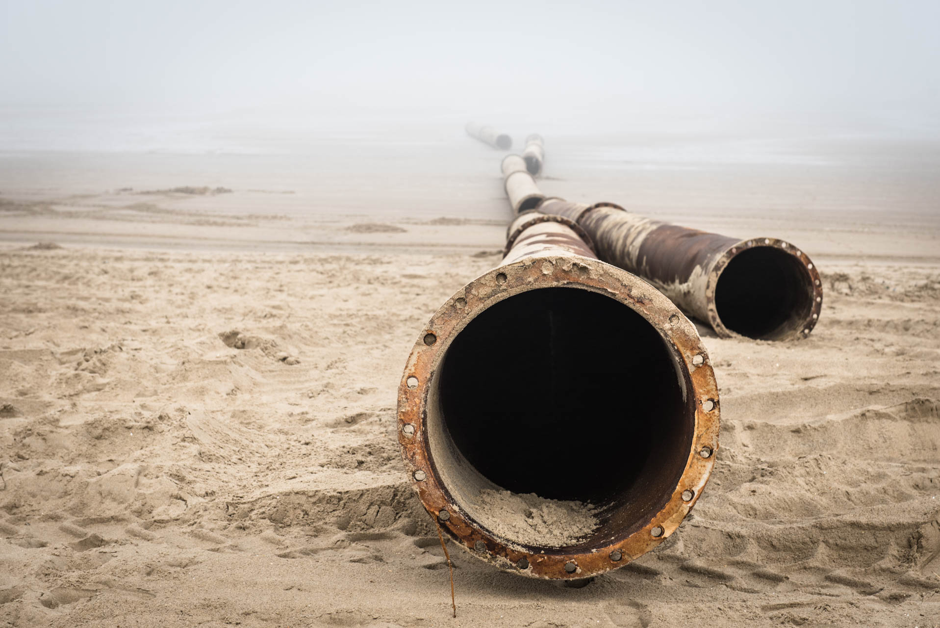 AliceDelescaille; (1 sur 32).jpg