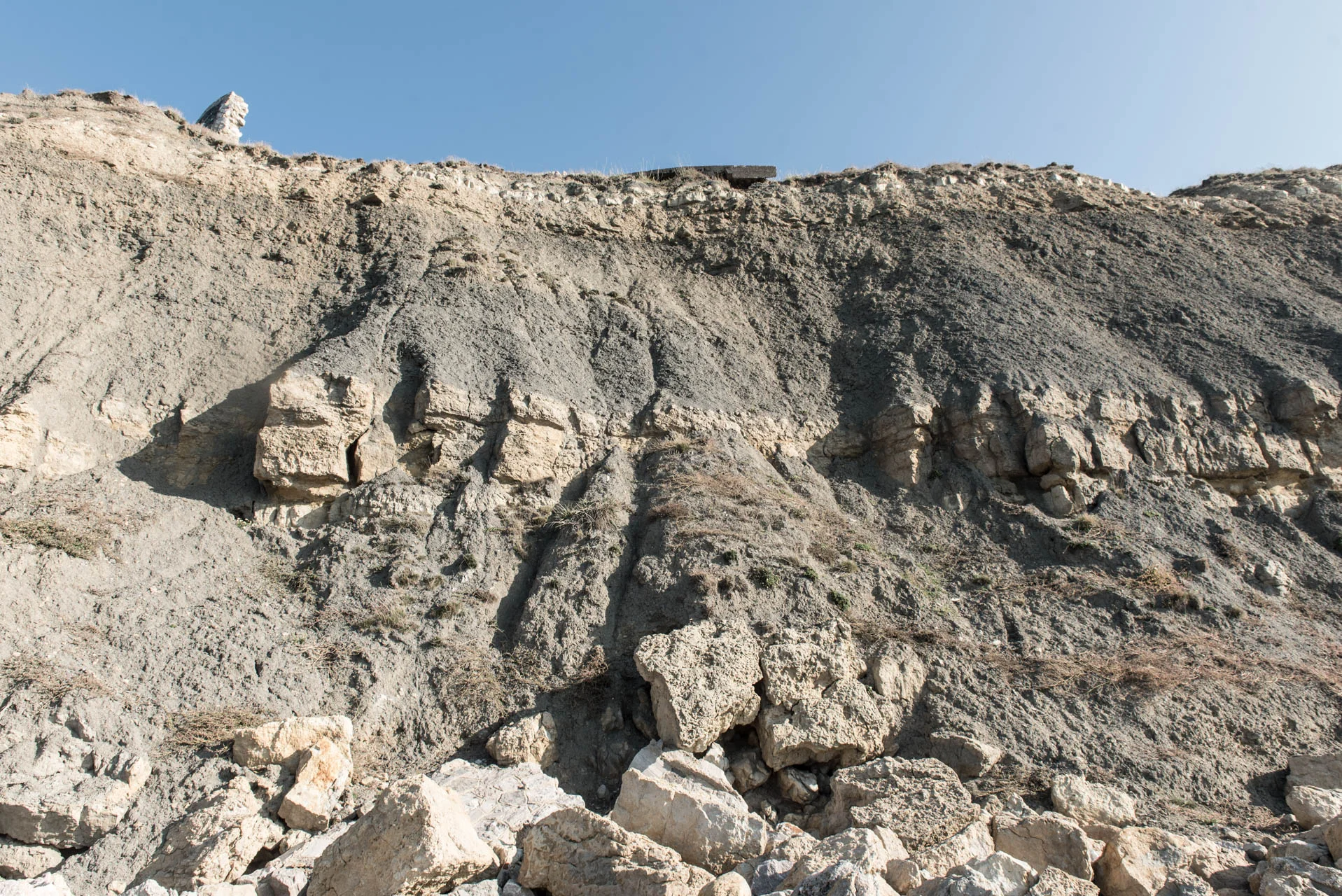 AliceDelescaille; (4 sur 32).jpg