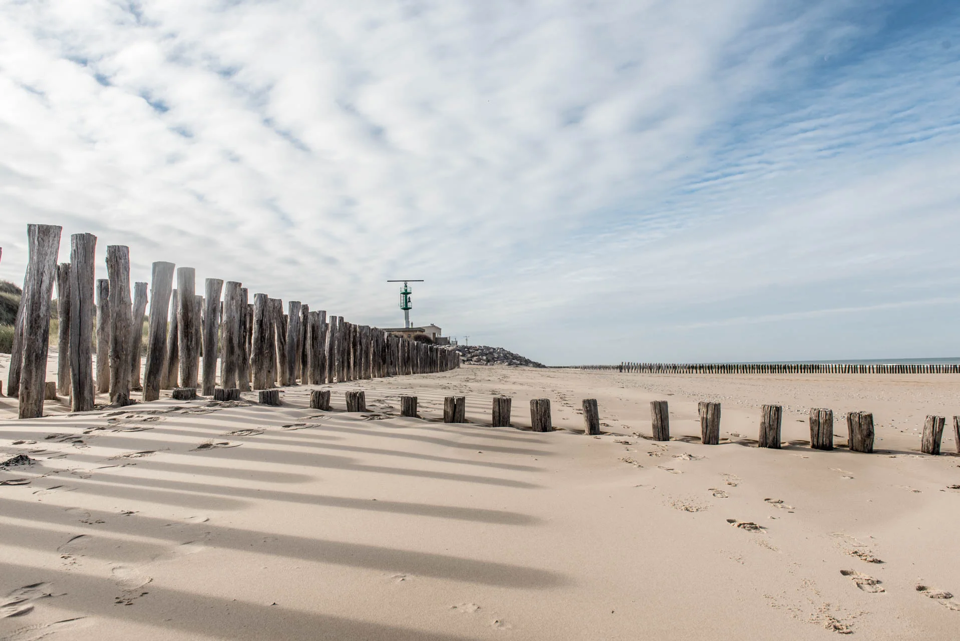 AliceDelescaille; (10 sur 32).jpg