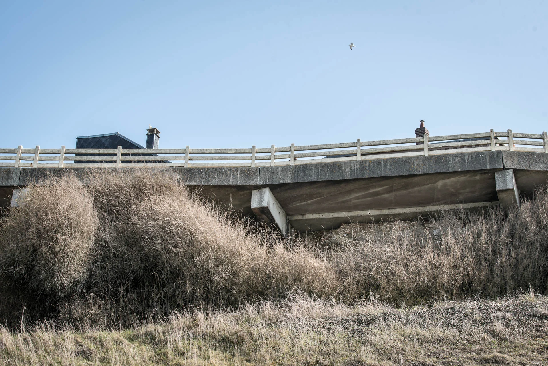 AliceDelescaille; (24 sur 32).jpg