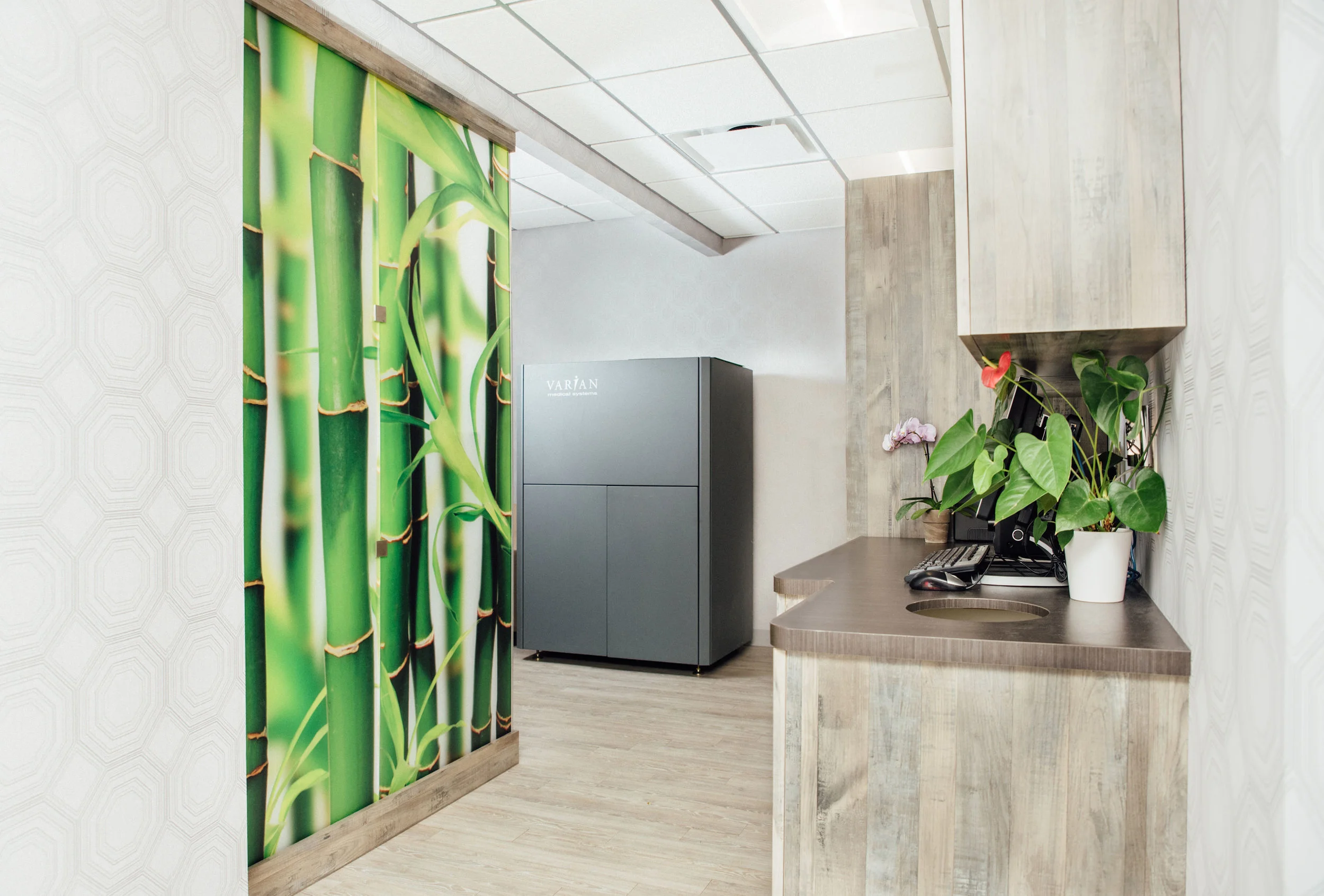 Advanced Radiation Centers