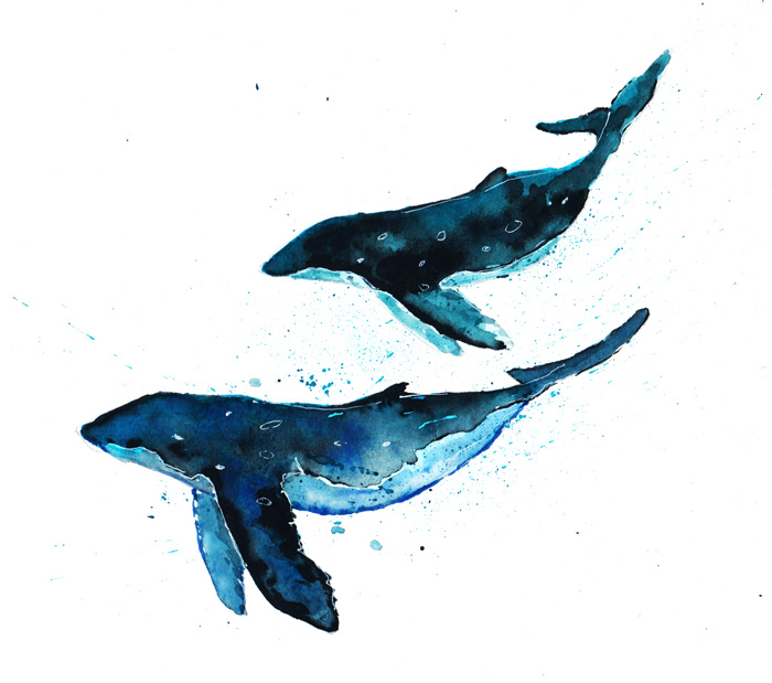 Whales-Copy-700.jpg
