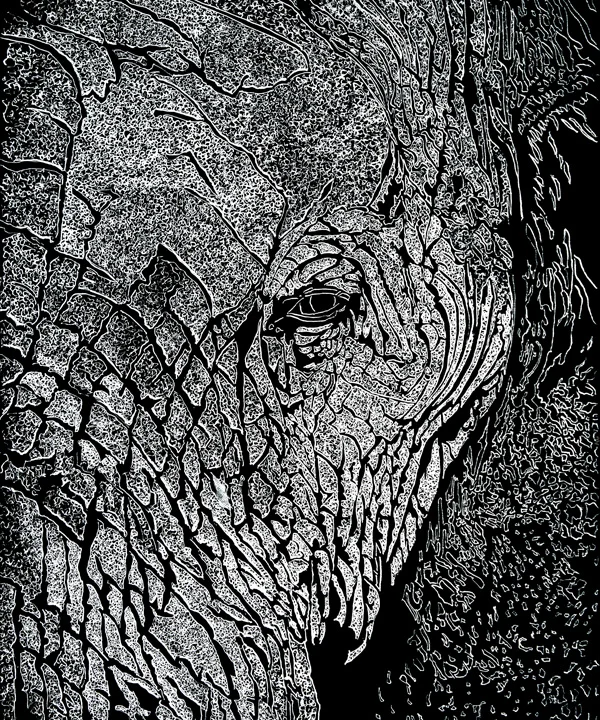 Elephant 03.jpg