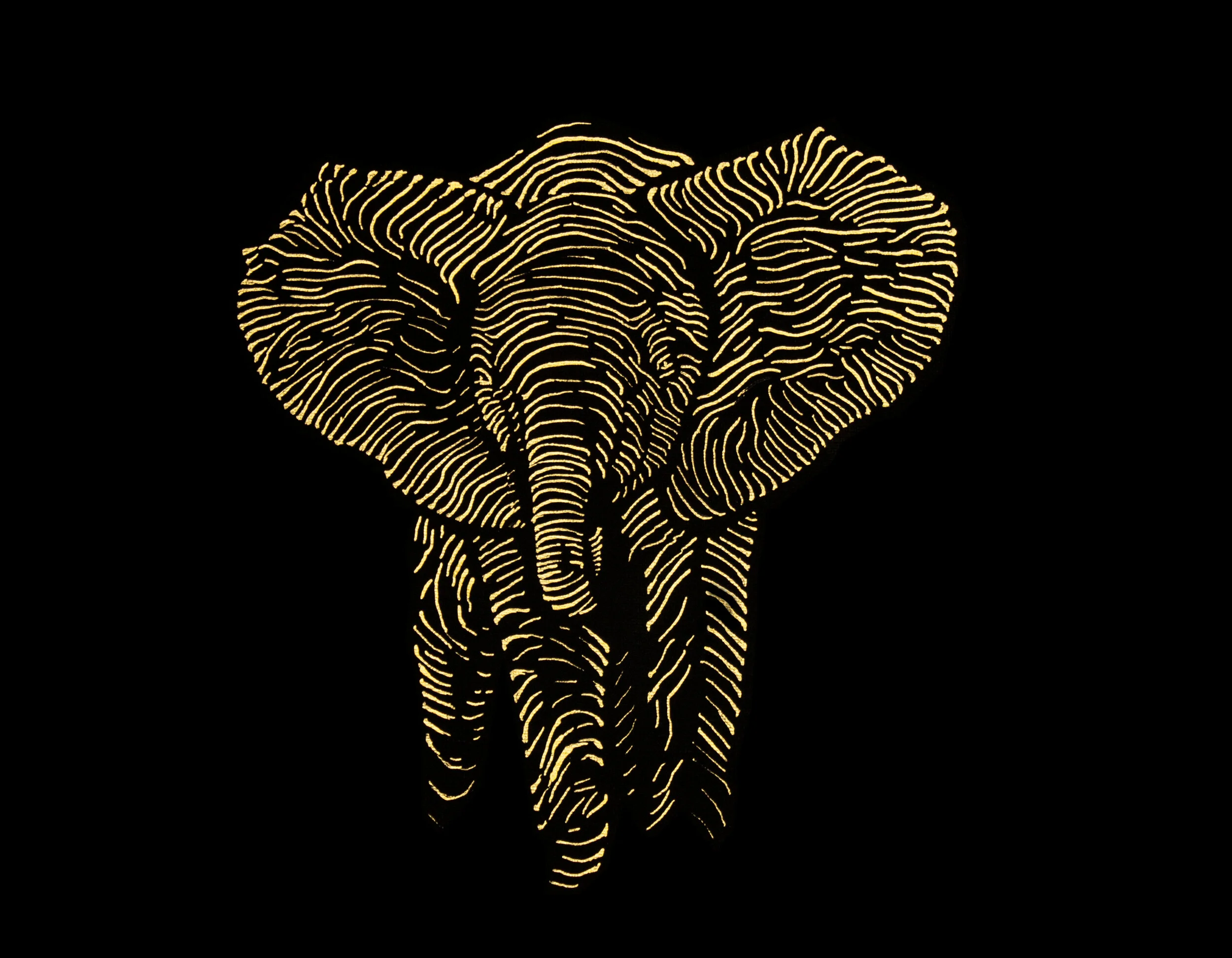 Elephant 05.JPG