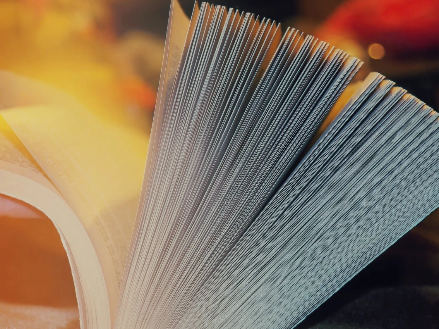 Gather 'round: A Writing Round-Up