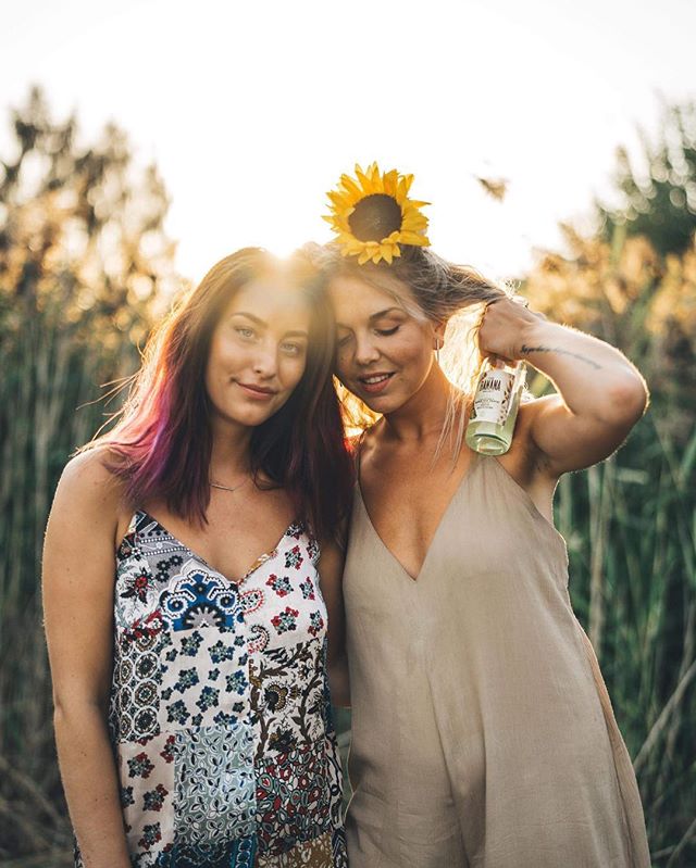 🌞🌻