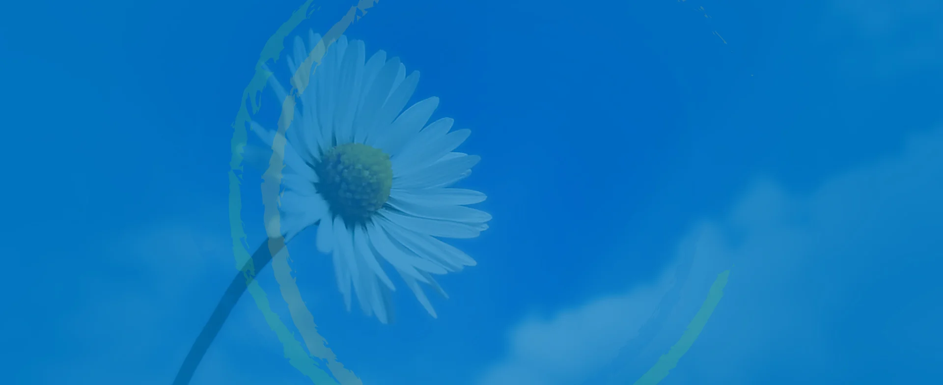WPG-FAQ-banner.jpg