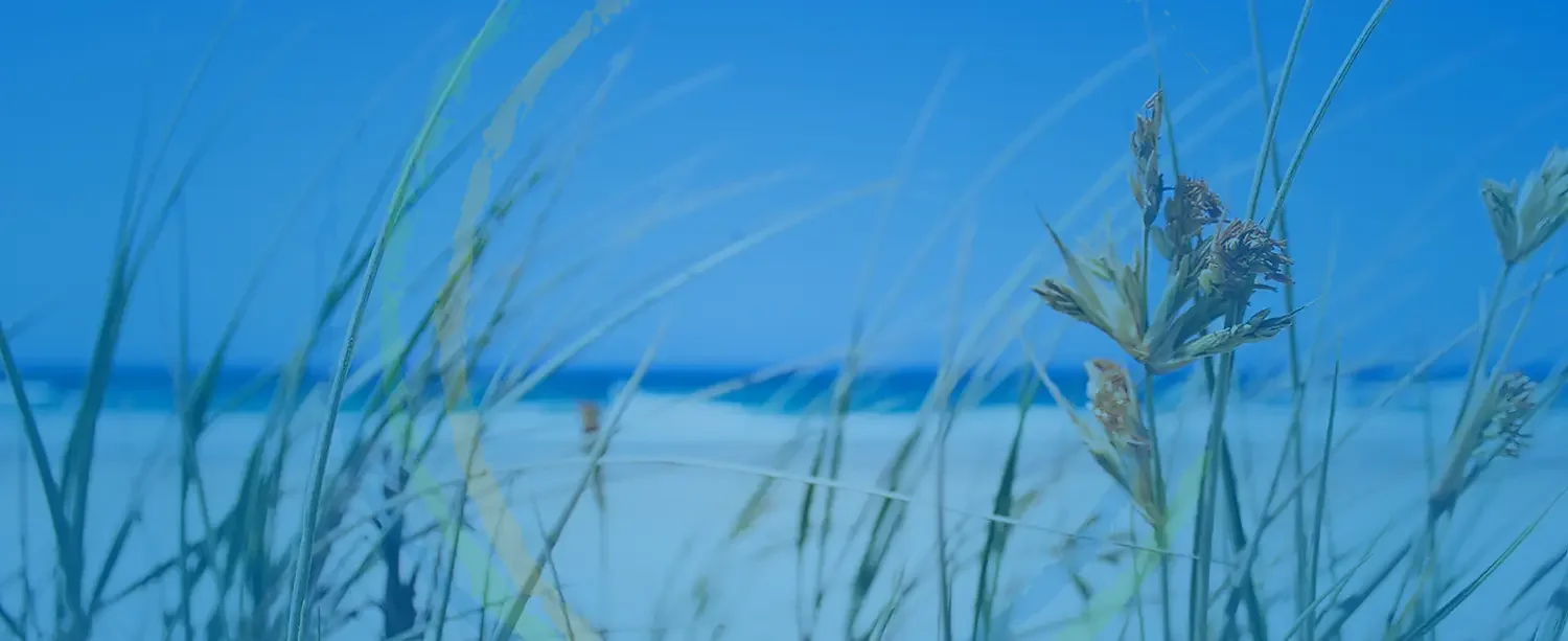 WPG-psychotherapy-banner.webp