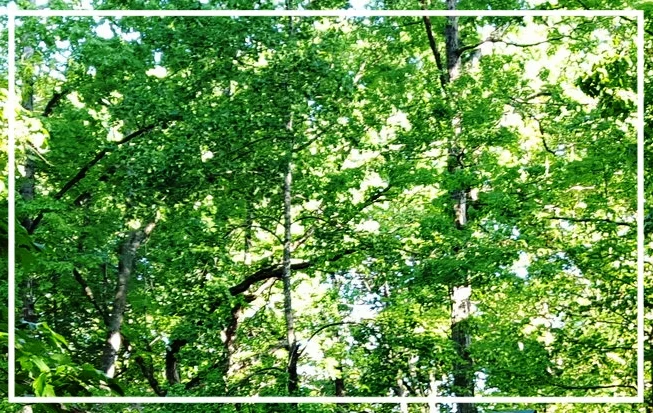 Psalm 24:1-2...Who is in Control?...