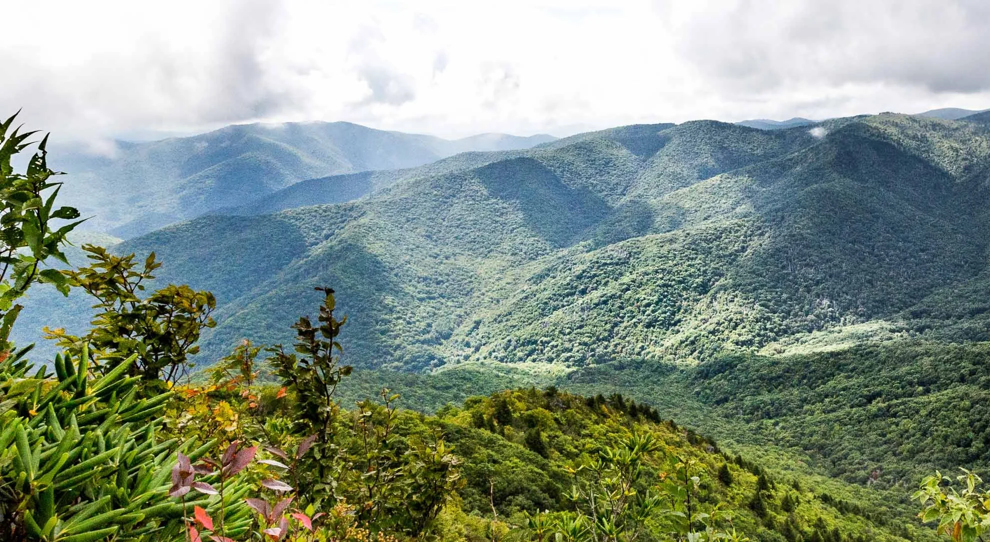 Proverbs 19:11.. Wisdom from Grace..