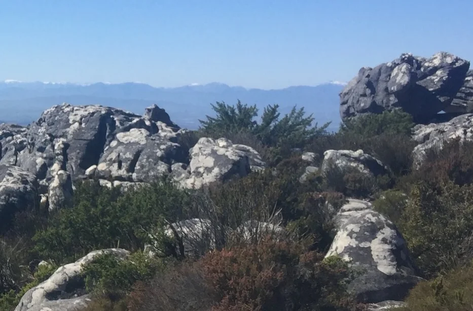 Proverbs 16:2-3...Success is just around the corner...