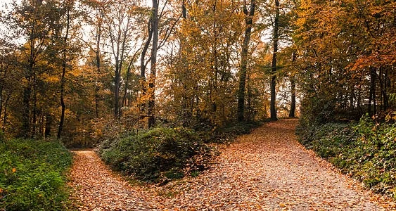 Proverbs 21:21... Which way to go....