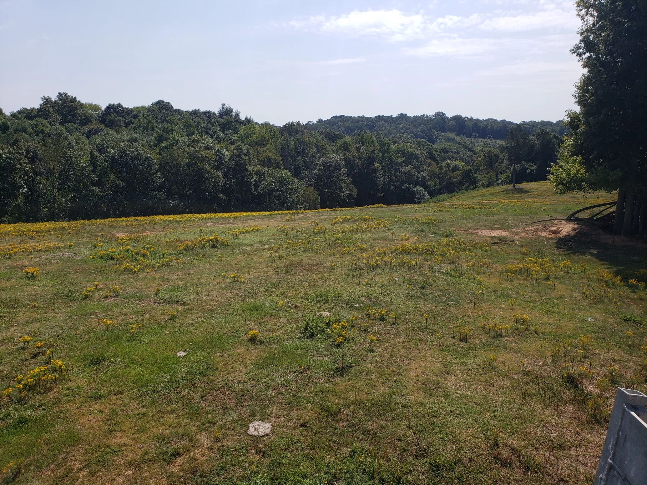 Matthew 13:33...God is in everything...