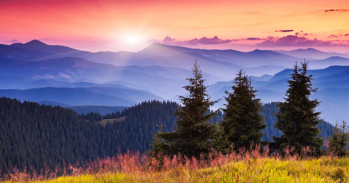 Romans 1:20...Look Around...