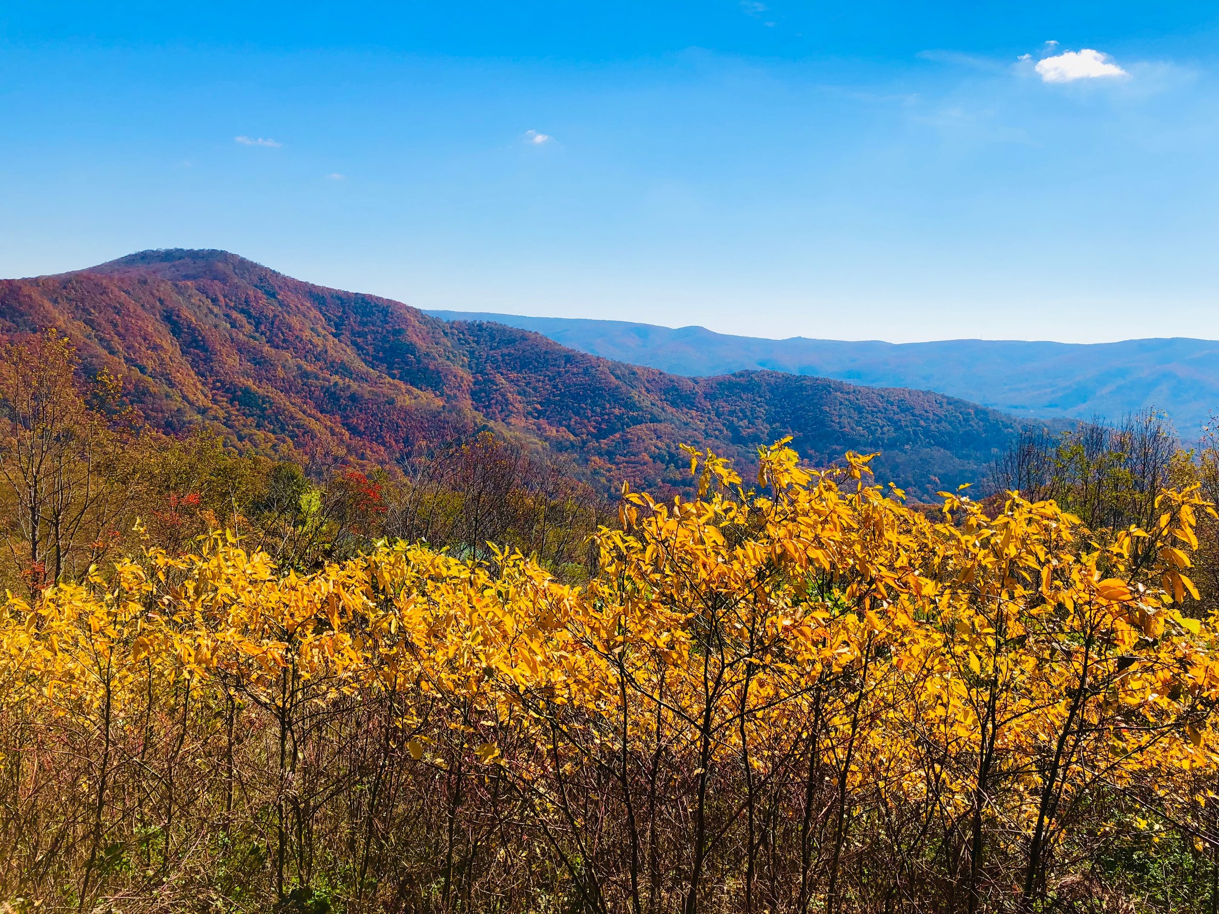 Psalm 40:5...Wonders Surround Us...