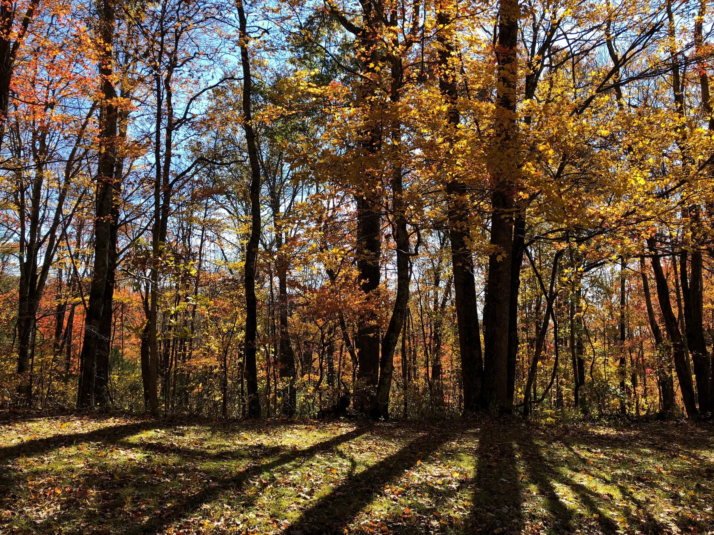 Psalm 51:10...Refreshment Ahead...