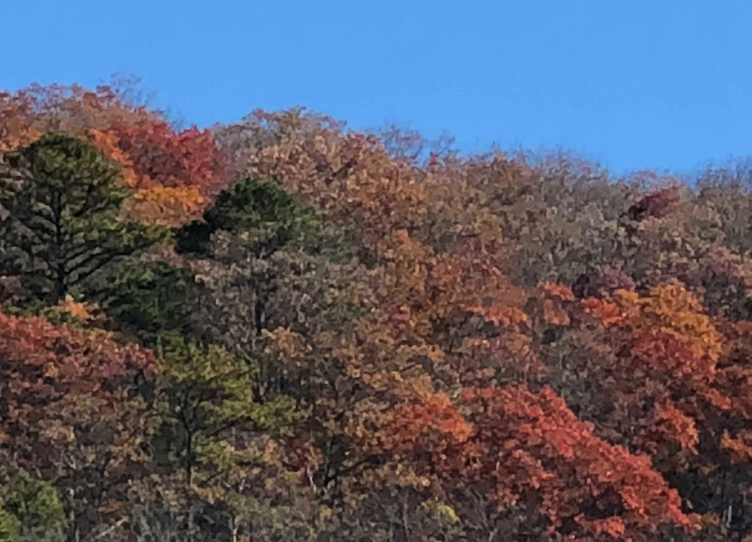 1 Samuel 16:7...Easy to get Wrong...