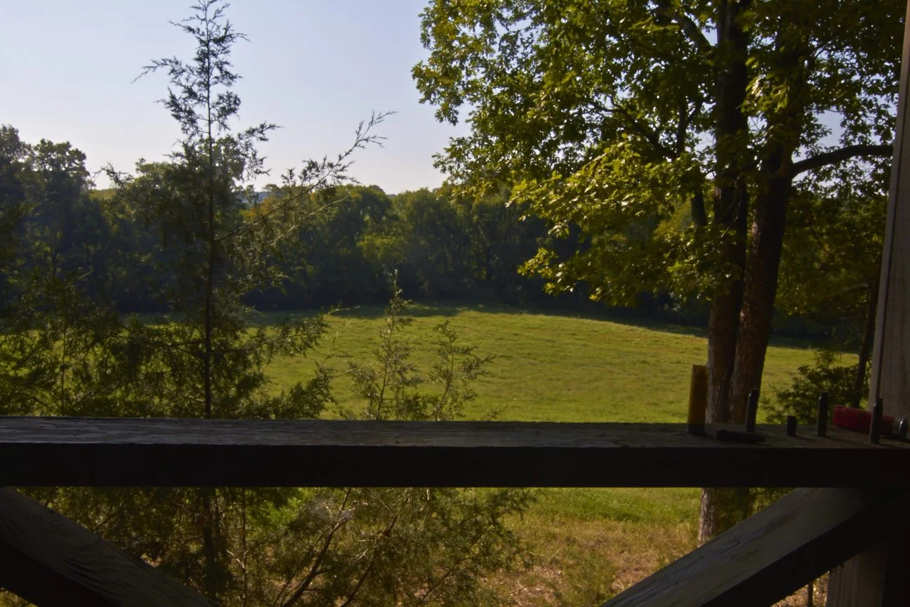 Psalm 107:1-2...And Again, Give Thanks...