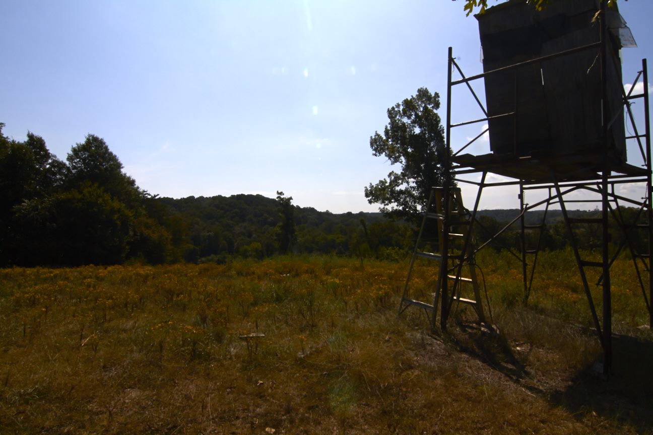 Luke 19:1-4...Can you see?...