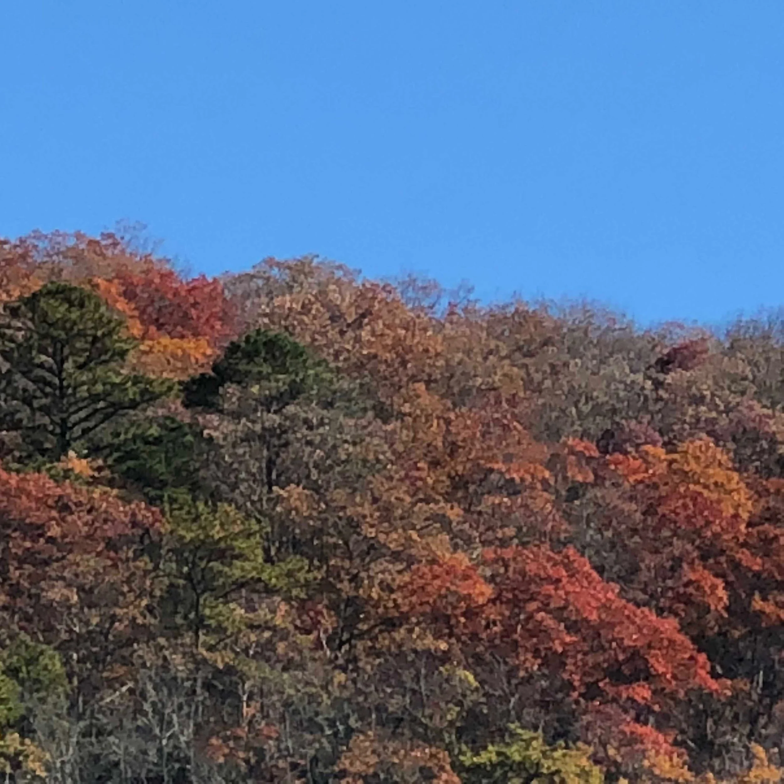 Jeremiah 18: 3-6...What shape are you in...