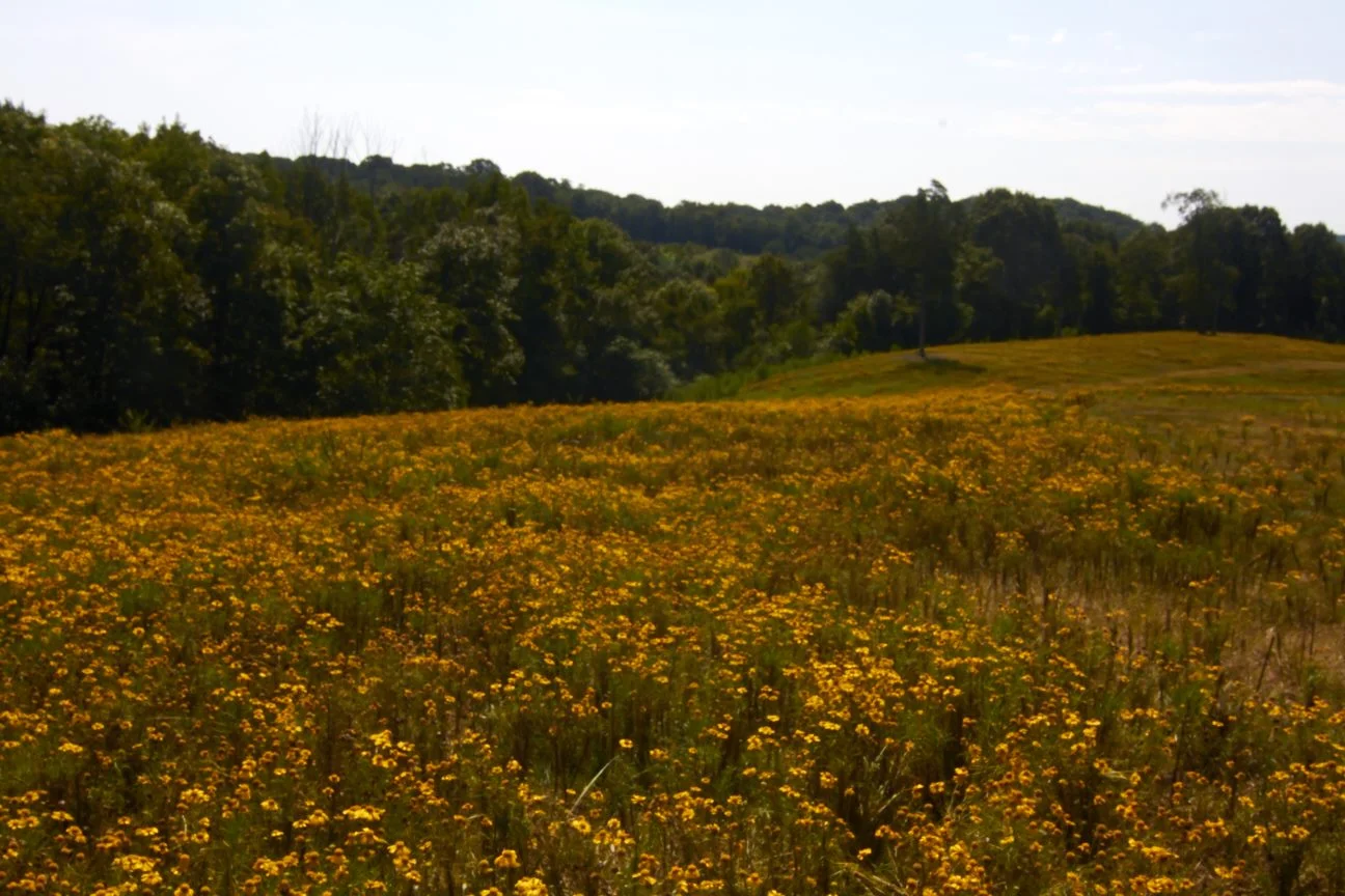 Matthew 25:37-40...Let me help...