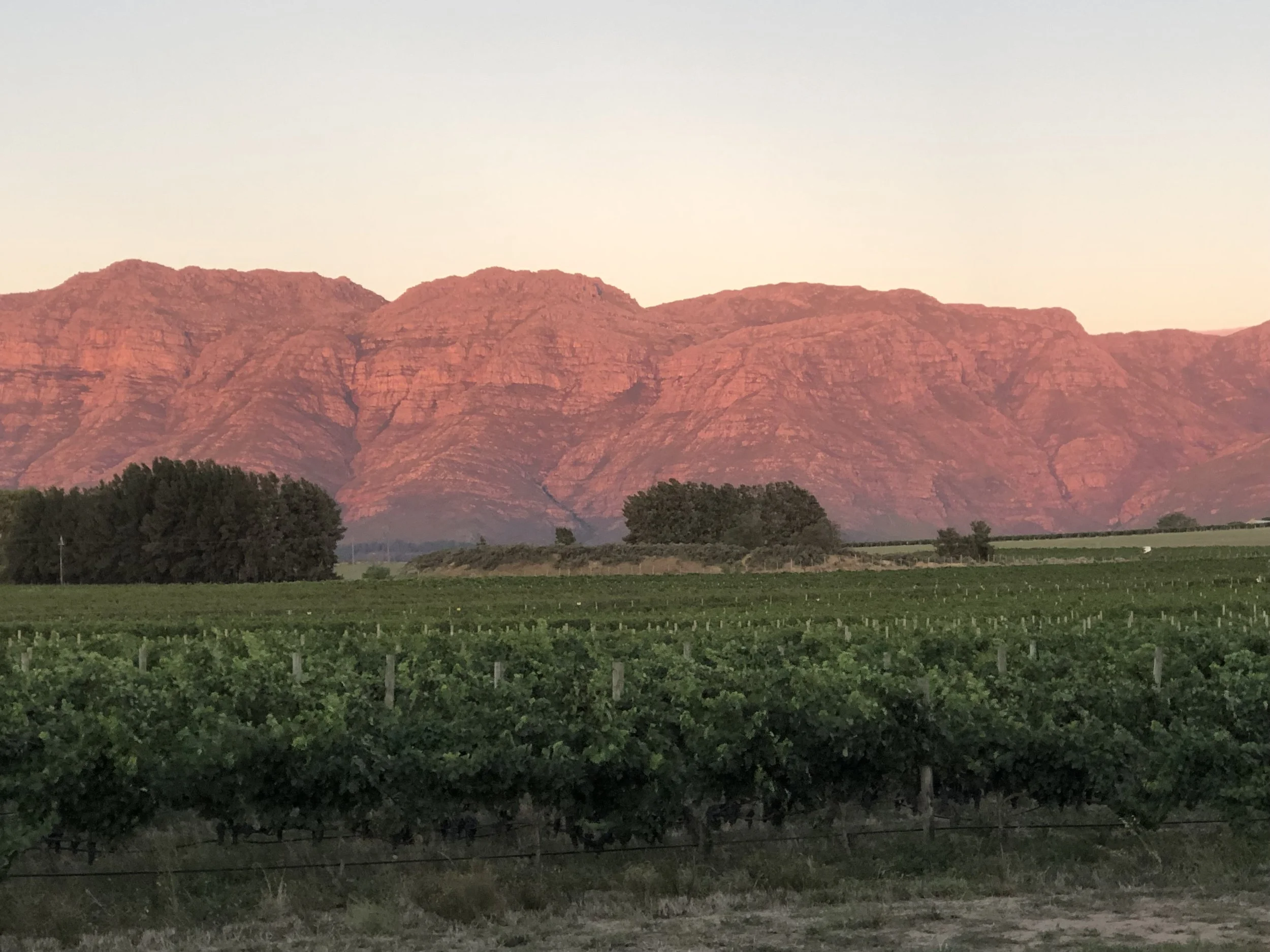 2 Chronicles 31:20-21...Staying in God's Lane...