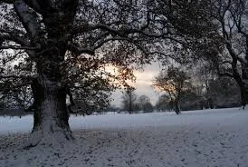 Luke 1:59-63...What is in a Name....