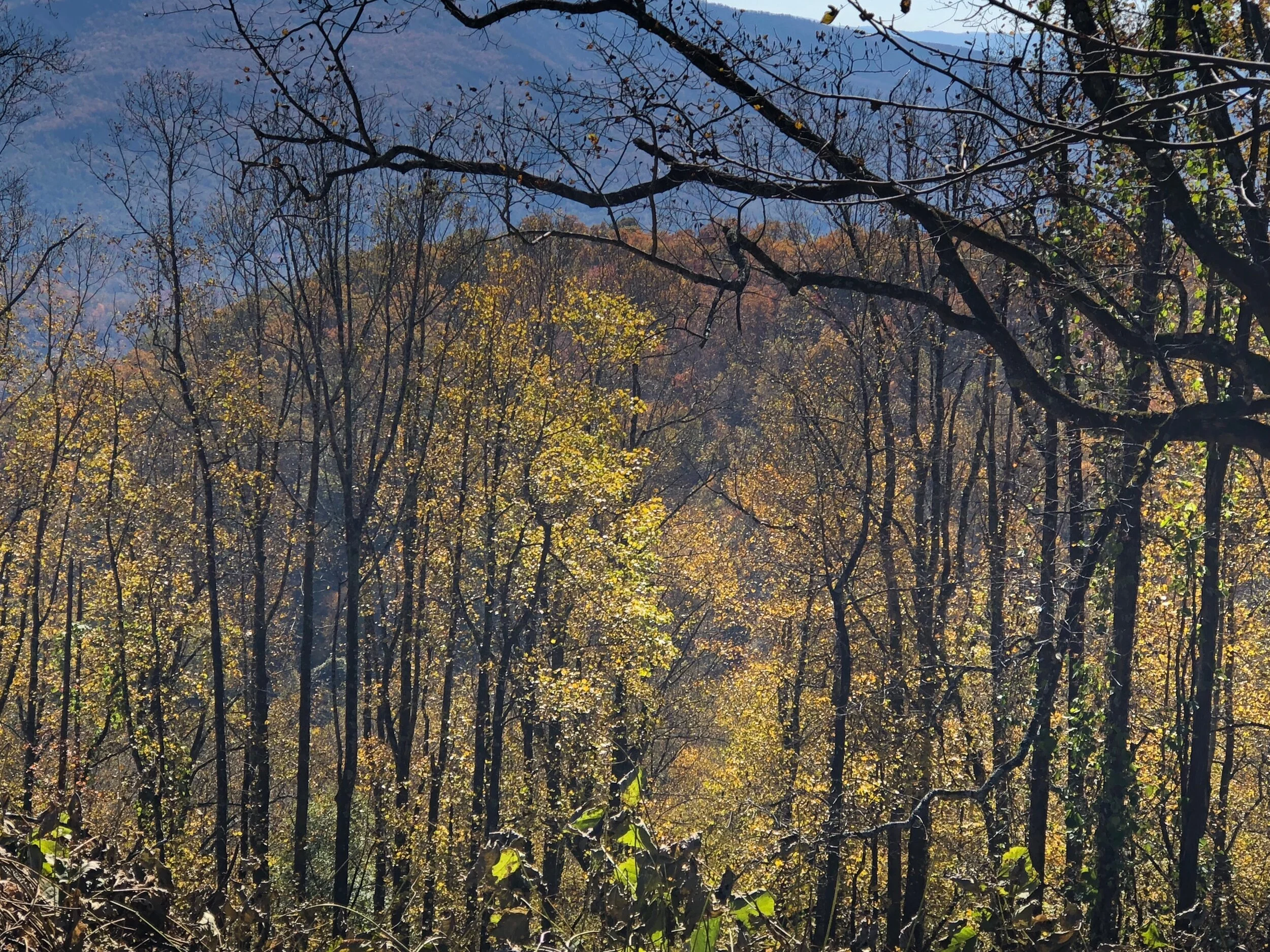 Matthew 24:42-44...Be Ready...