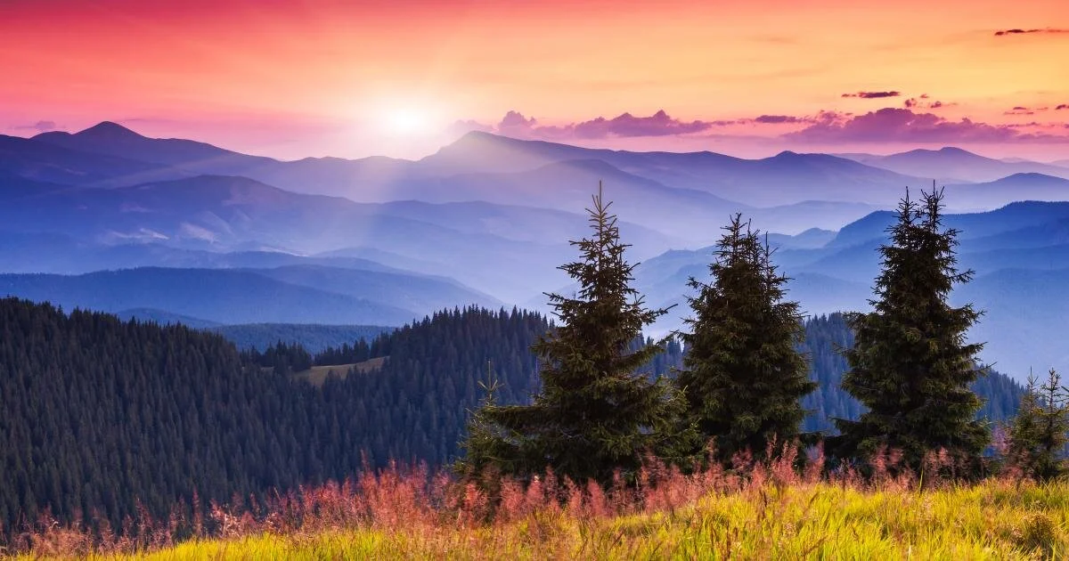 Psalm 143:8...Every Morning...