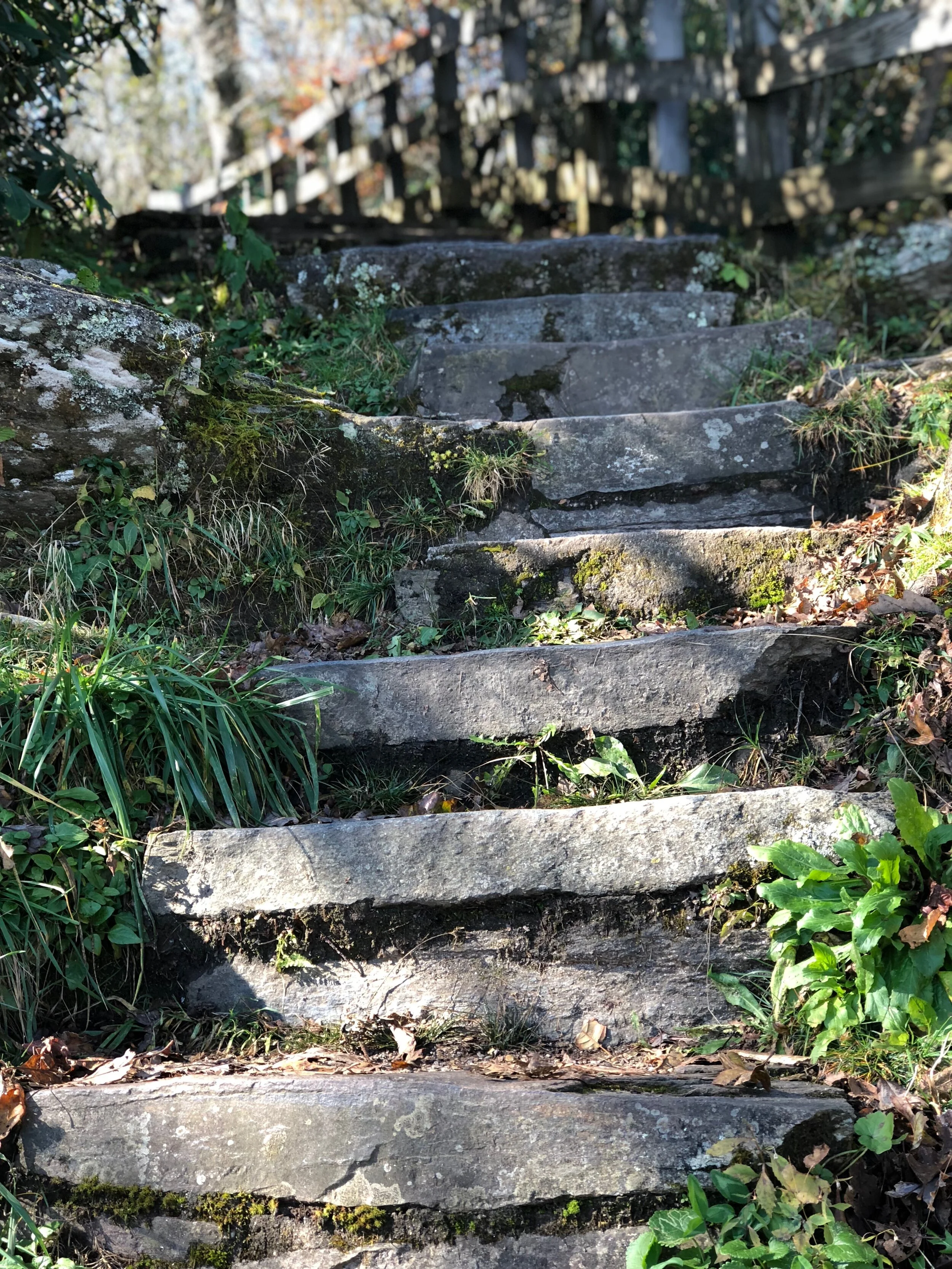 Jeremiah 10:23...Follow the Plan...