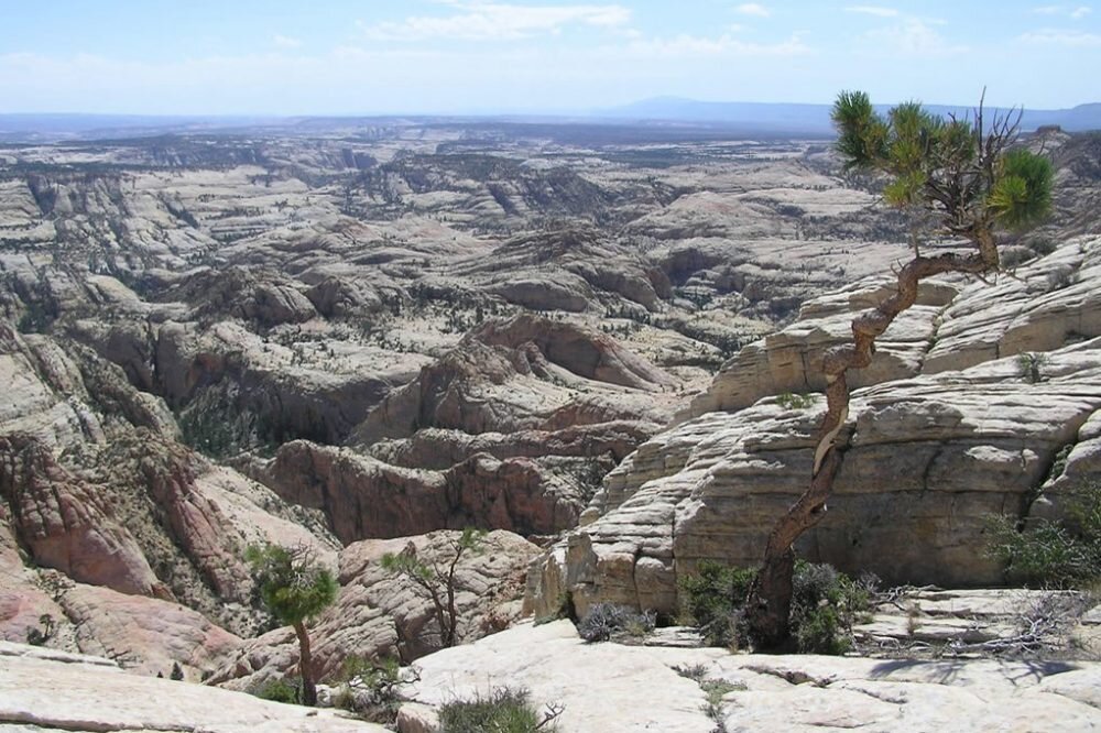 Romans 7:21-25...Overcome the Enemy...