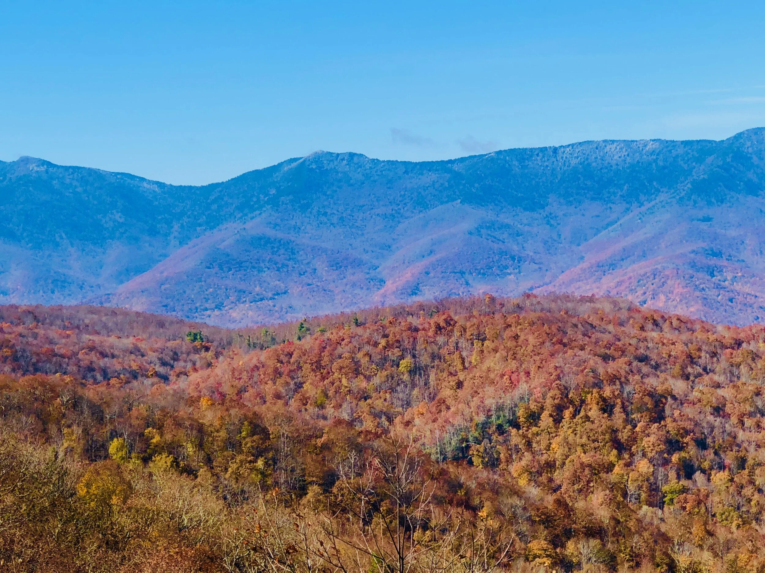 Psalm 147:10-11...Follow His Plan...