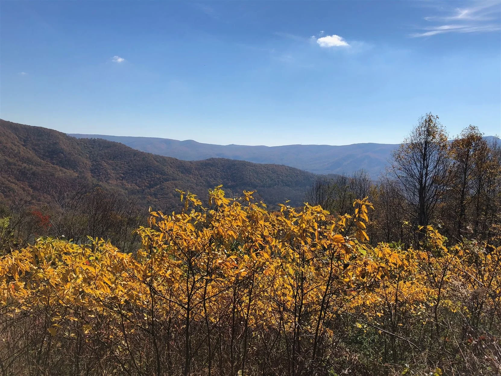 1 Timothy 6:8-9...It Is the Little Things...