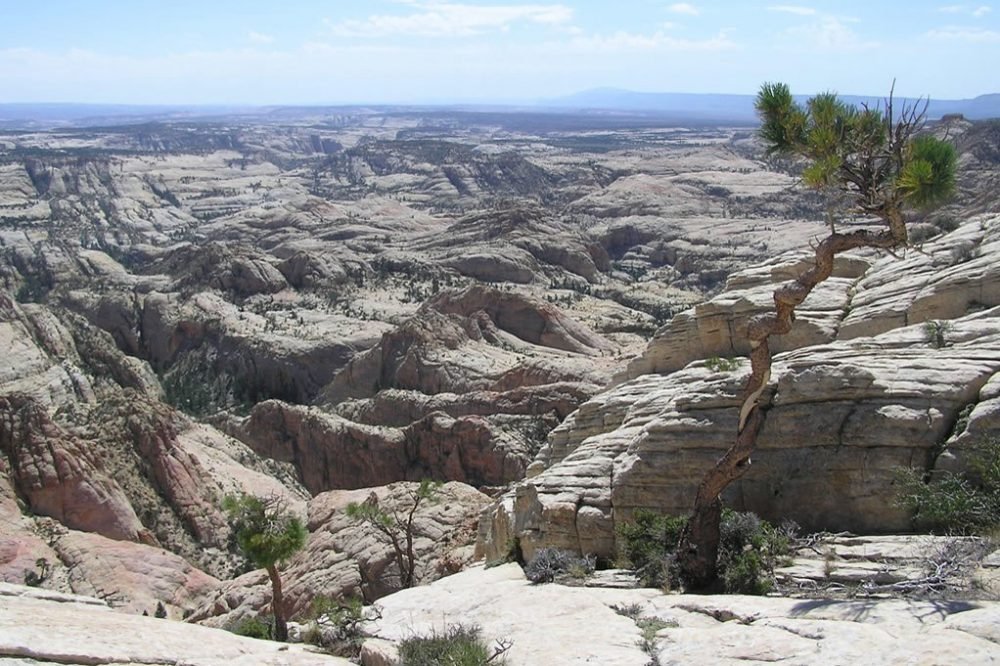 Luke 5:27-28... He Chose You...