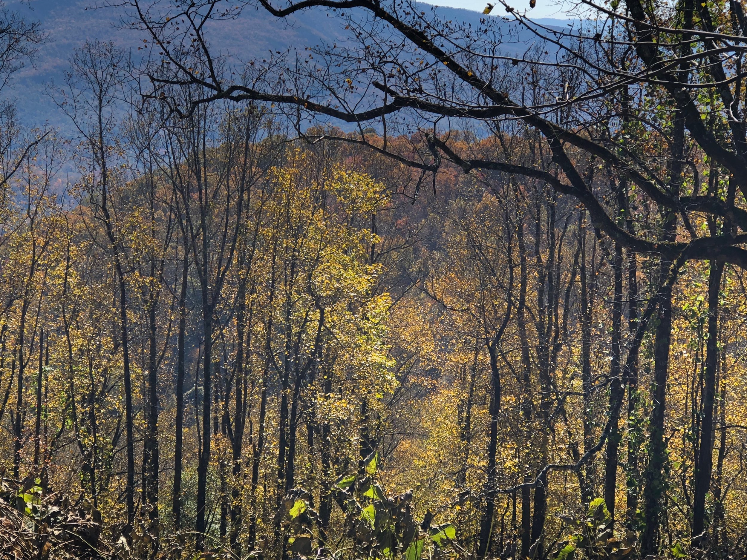 1 Timothy 1:15-16...Jesus Saves...