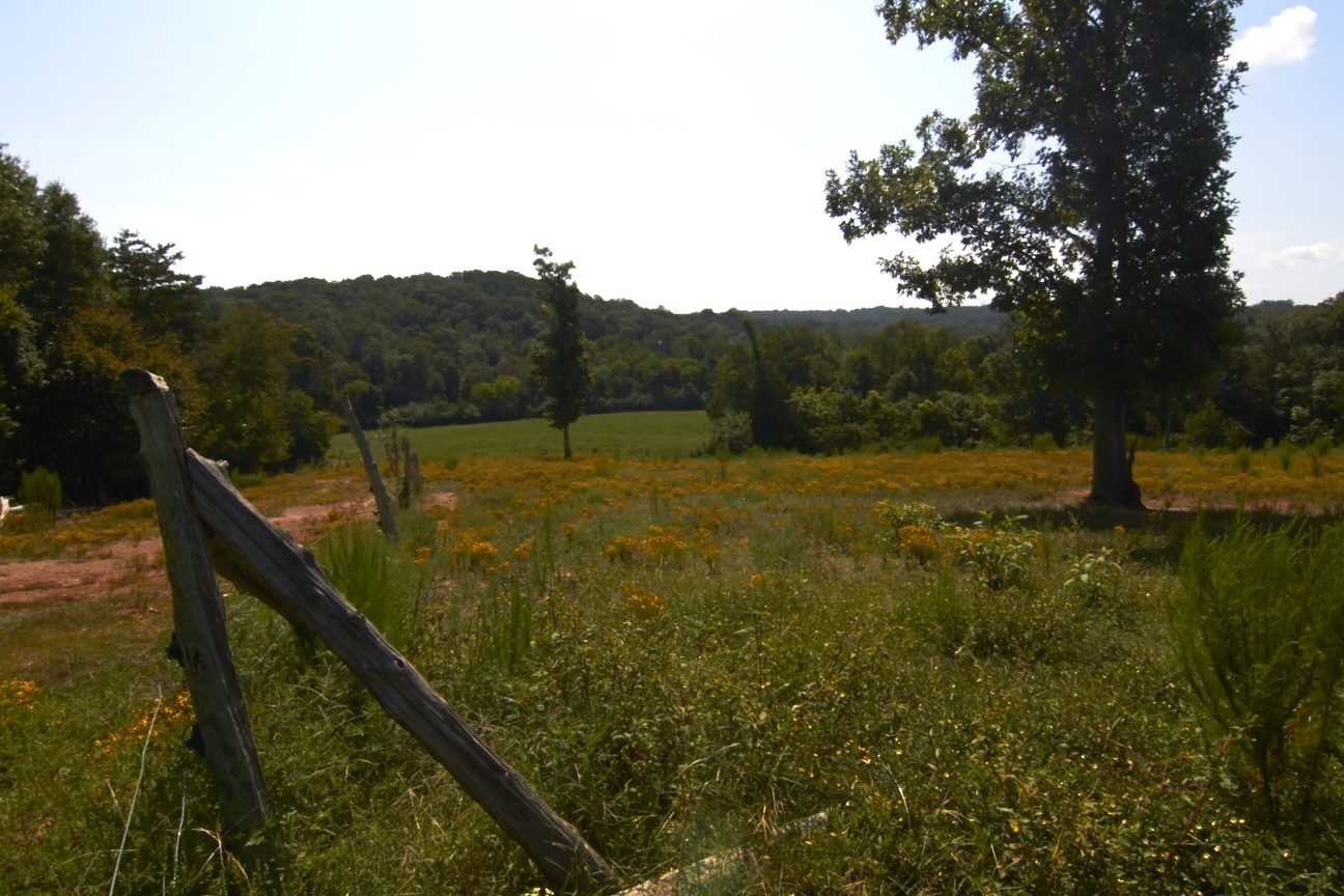 Hebrews 12:14-15...Avoid Bitterness...