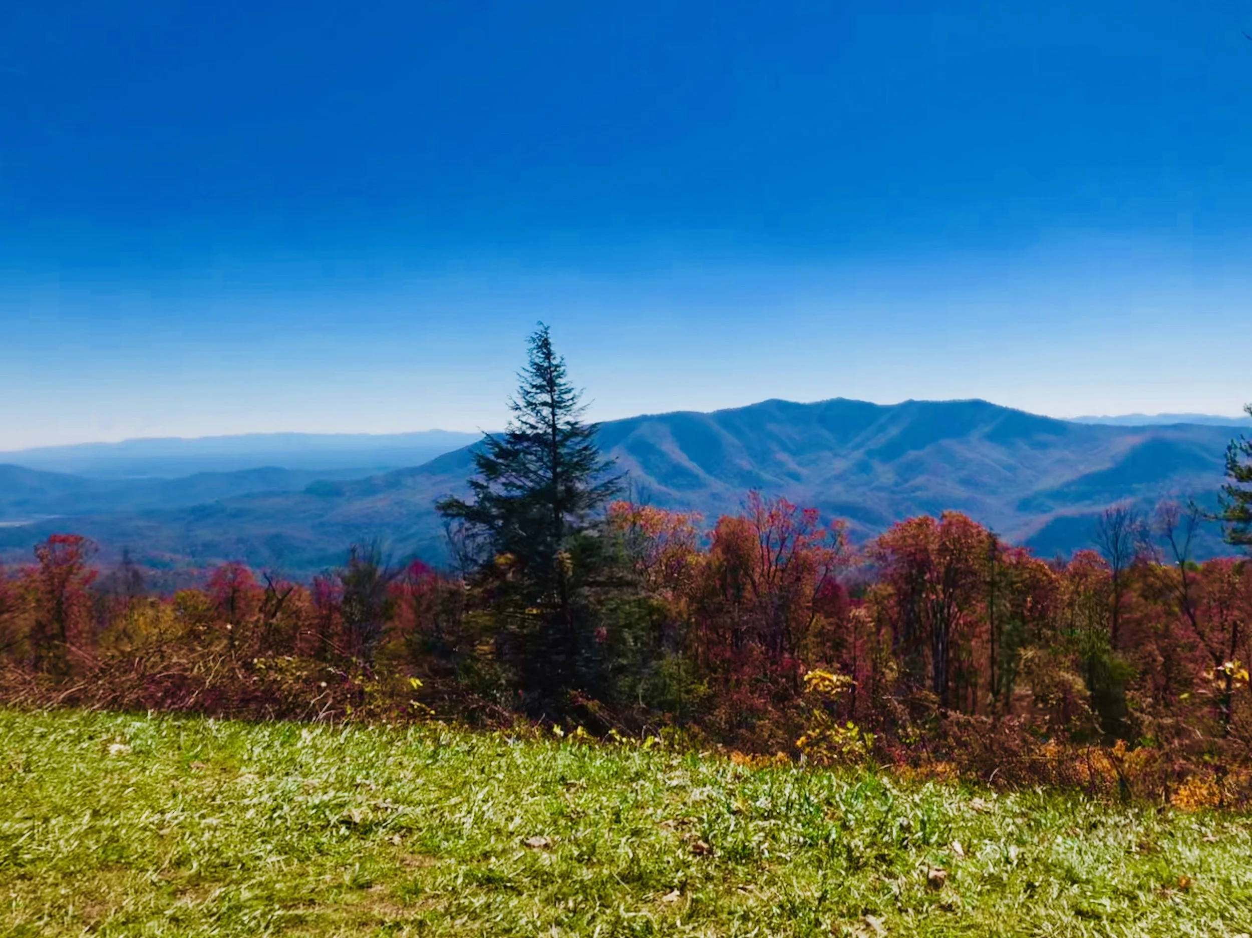 Mark 12:30-31...Love Your Neighbor...