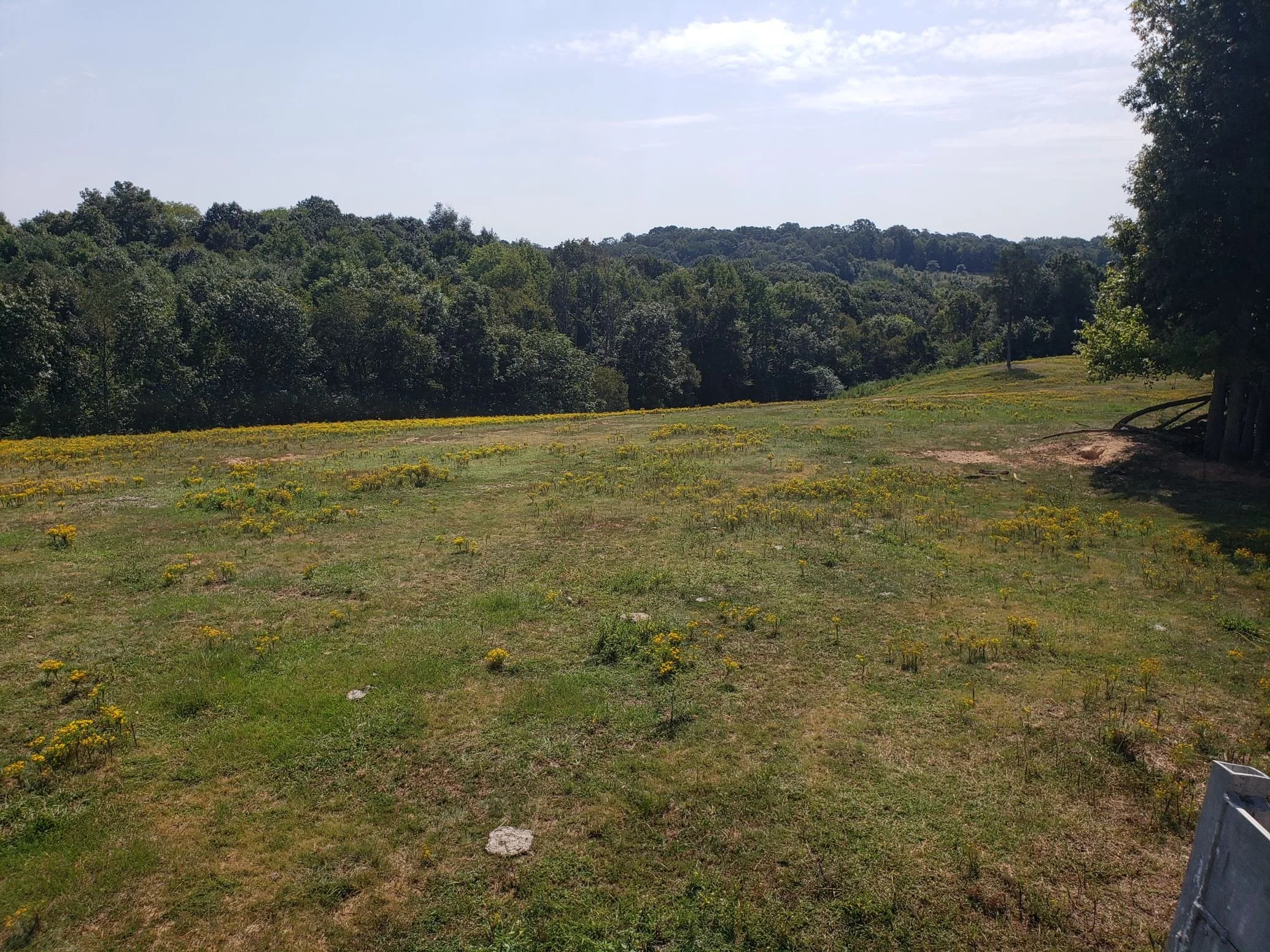 2 Corinthians 12:9-10...I Am Weak and He Is Strong...